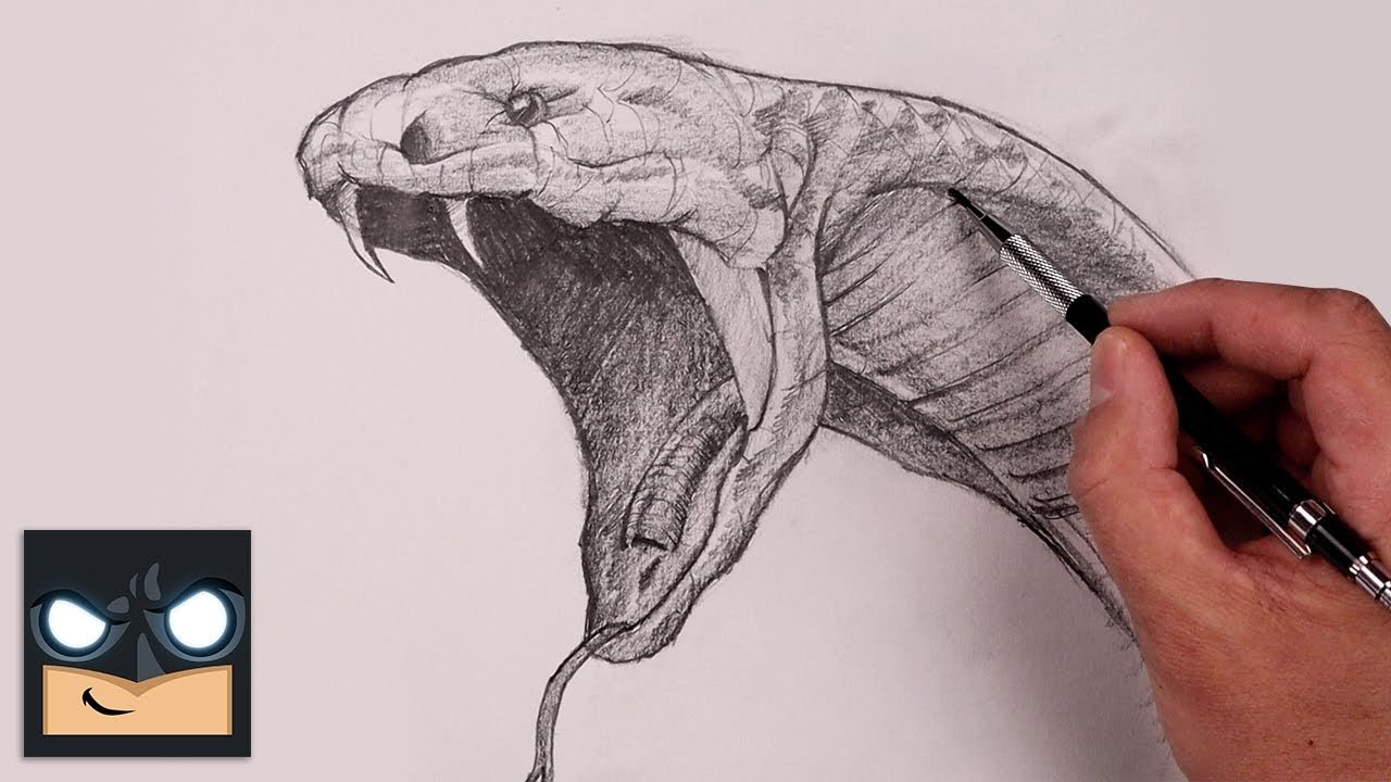 Drawing:bxv6evbk8ta = Snake