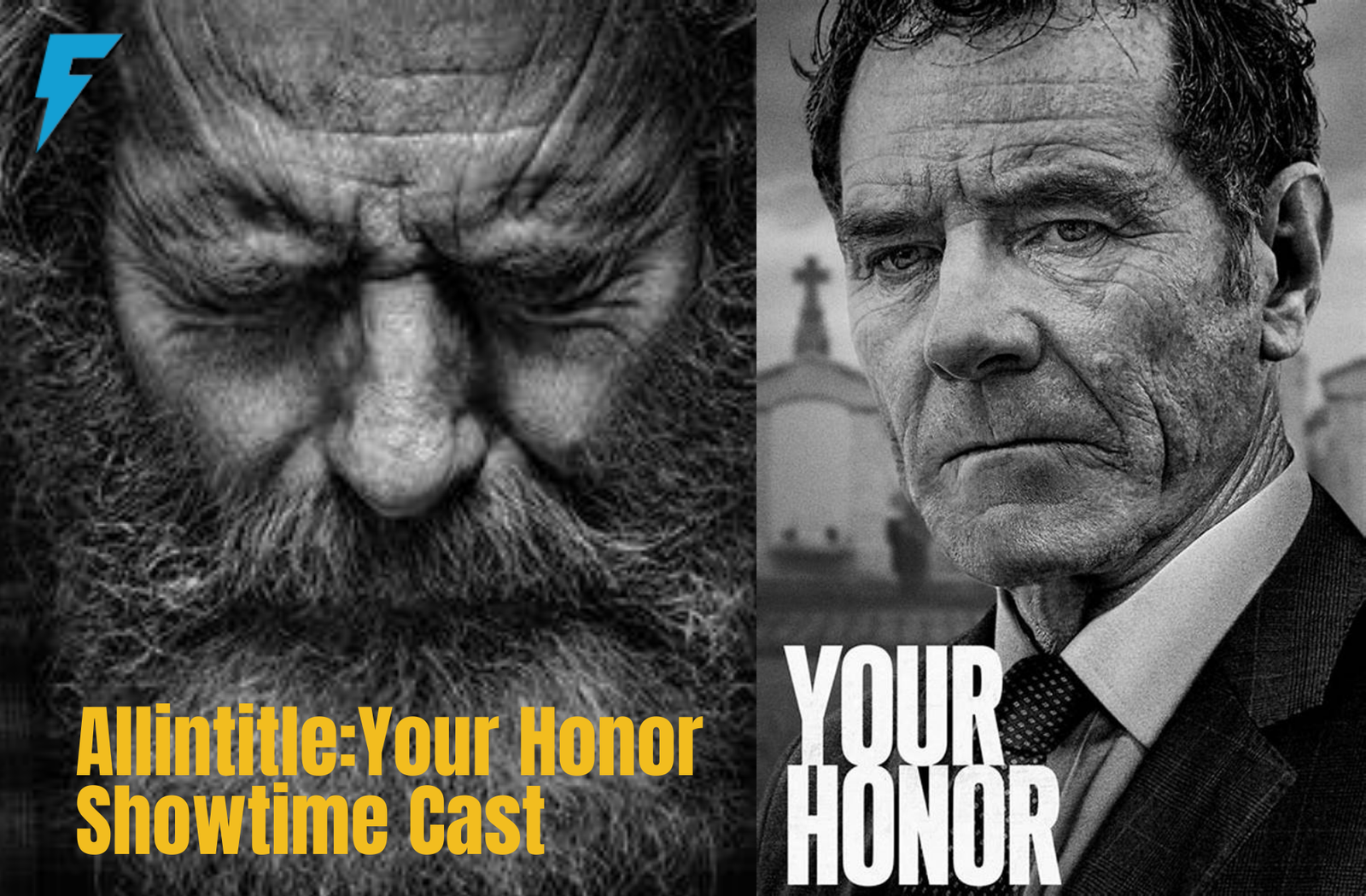 Allintitle:Your Honor Showtime Cast